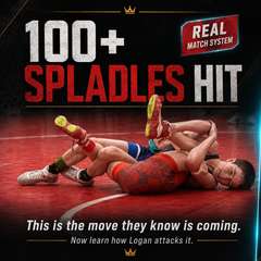 The Spladle System